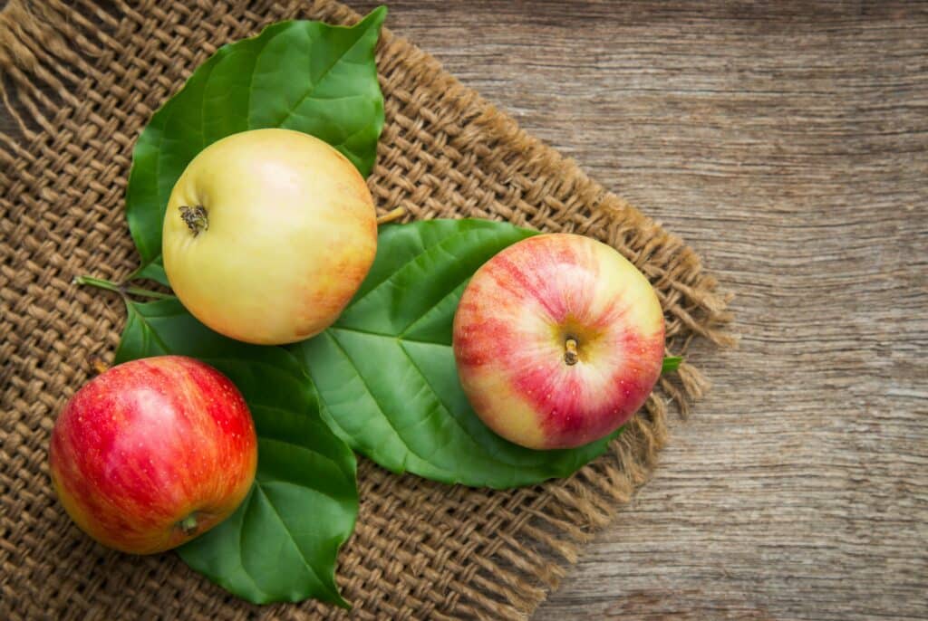 10 Healthiest Fruits That Boost Your Body Naturally 2 10 Healthiest Fruits