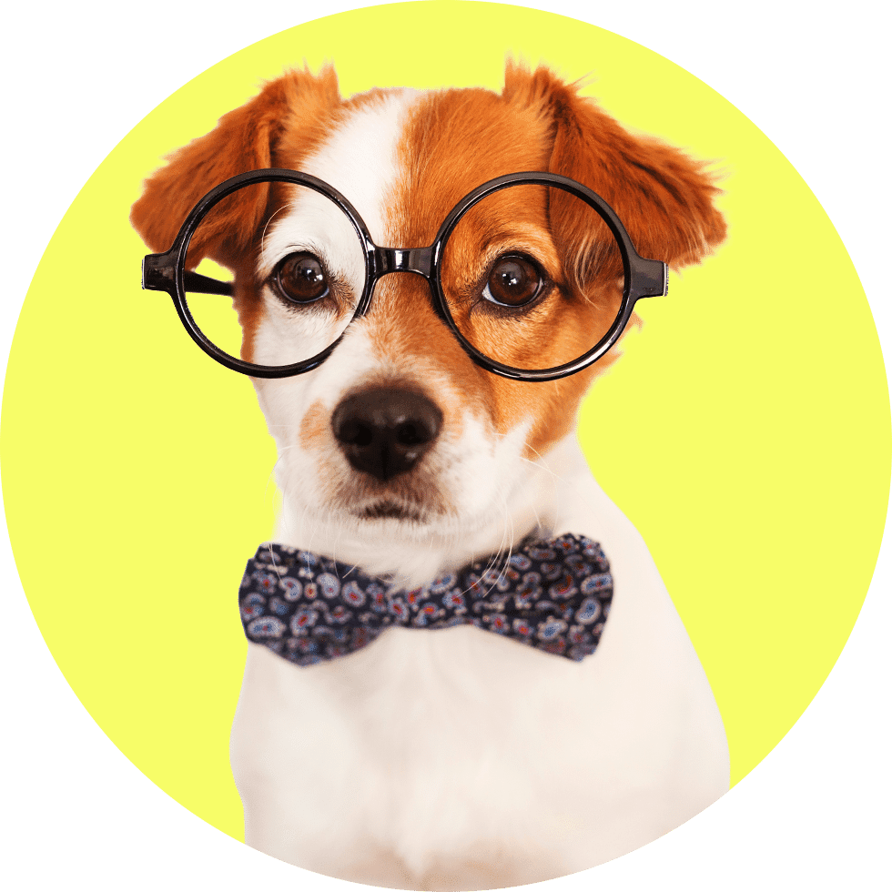 AI Wrapped: The 14 AI terms you couldn’t avoid in 2025 1 Wrapped embed 0000 superintelligence hGR8Jn