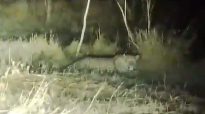 l 641764 023110 updates OJLVWr