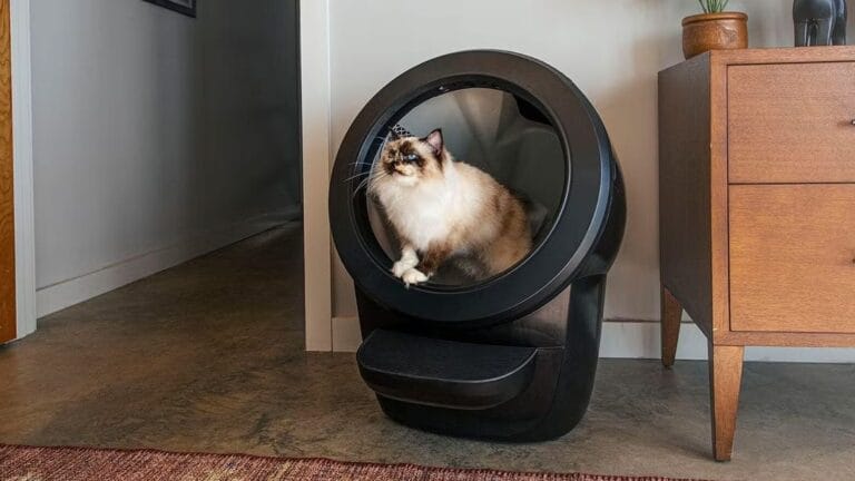 whisker litter robot 6Ml15Z