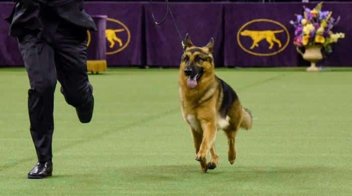 l 644151 040818 updates ZZArmb