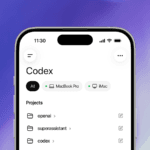 work with codex from
