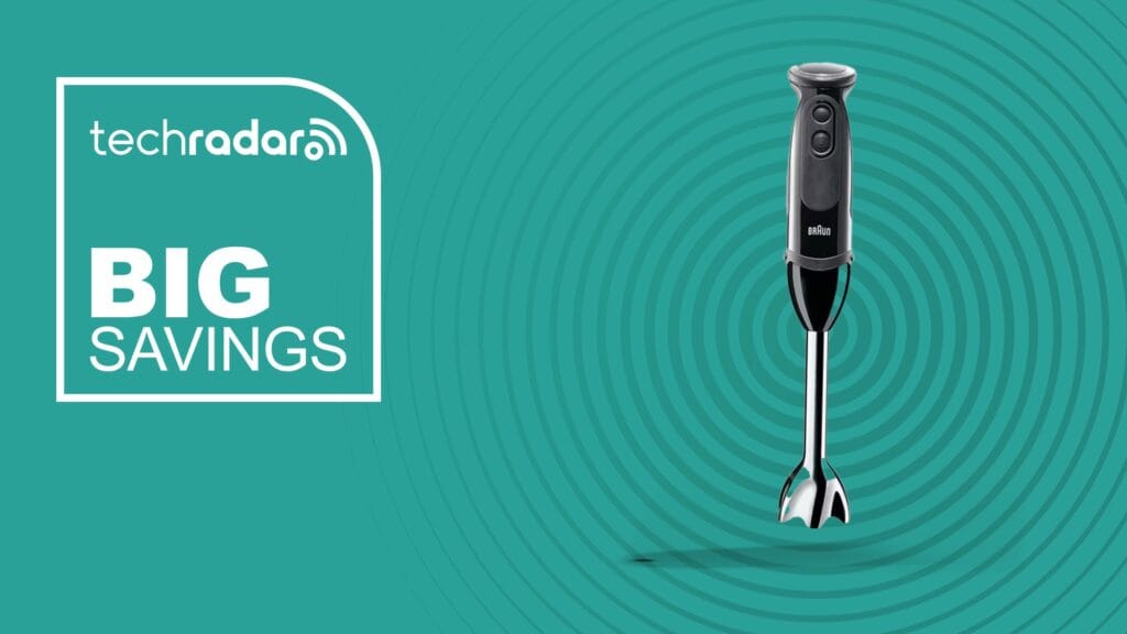 braun stick blender